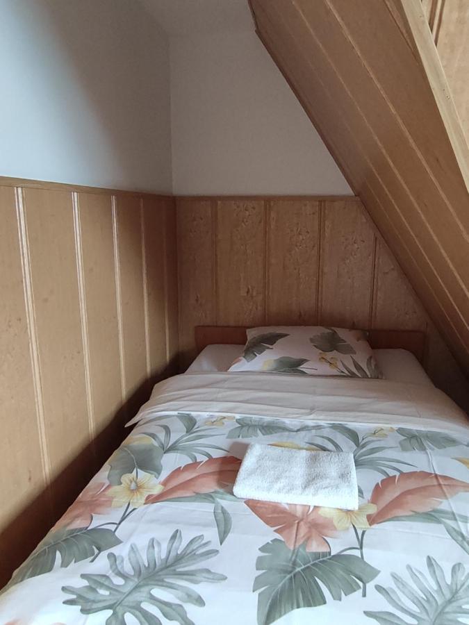 Willa Ewelinka Zakopane Kültér fotó